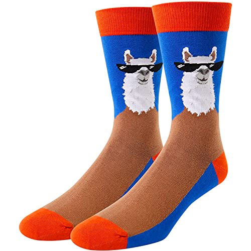 Llama Merchandise