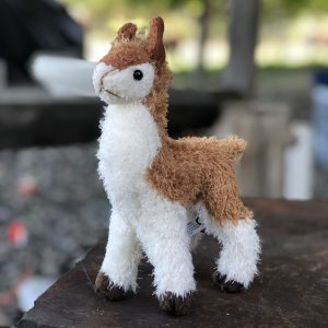 Llama Merchandise